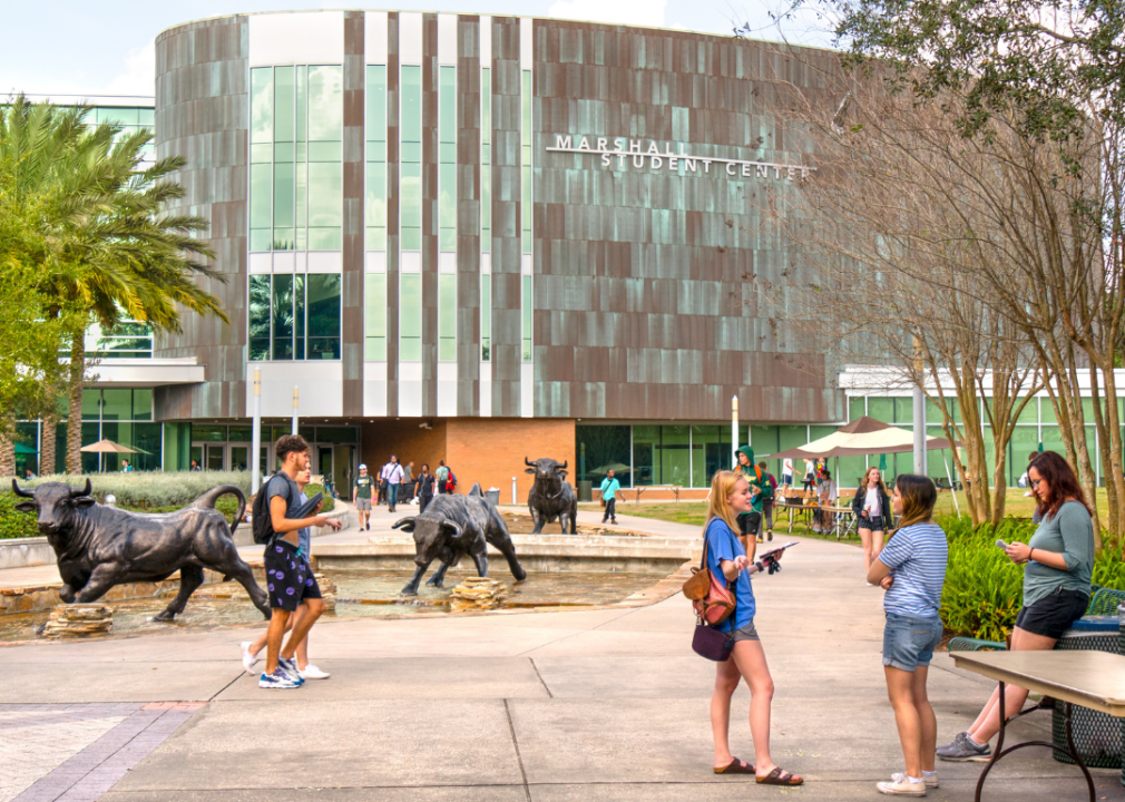 #60. University of South Florida